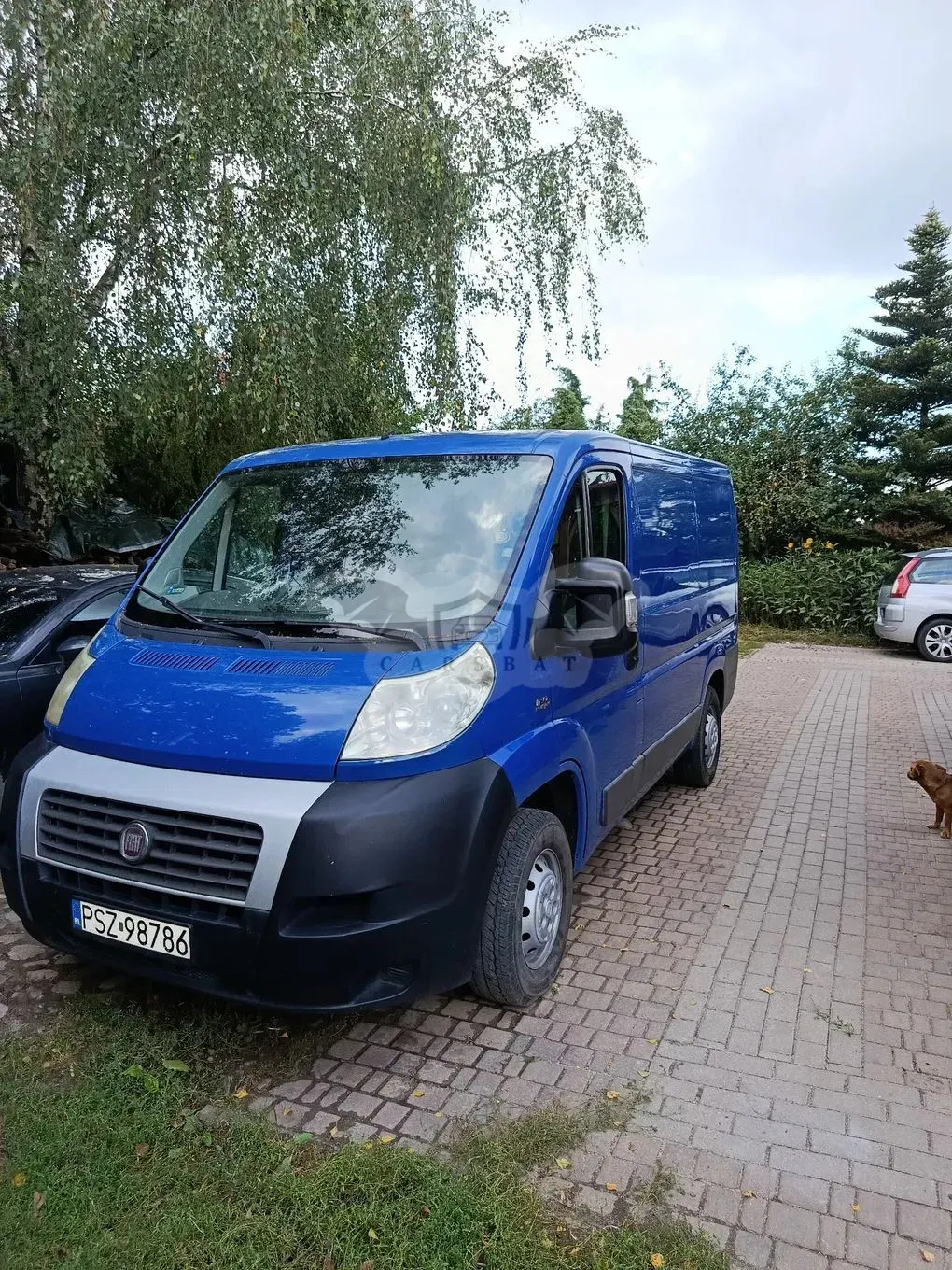 Fiat Ducato 2010