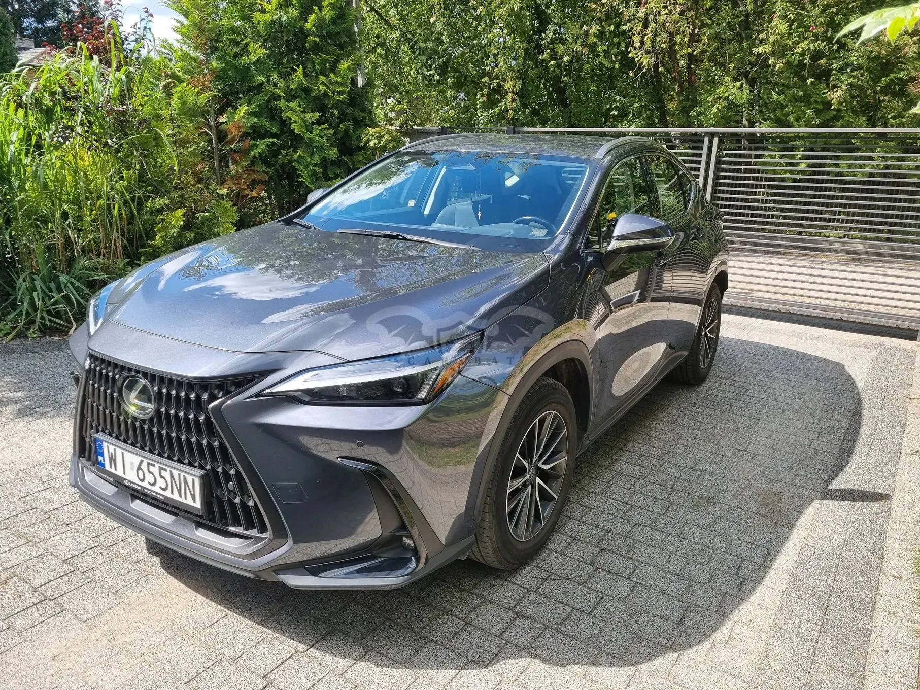 Lexus NX II (2021-) 350h Elegance 2WD 2023