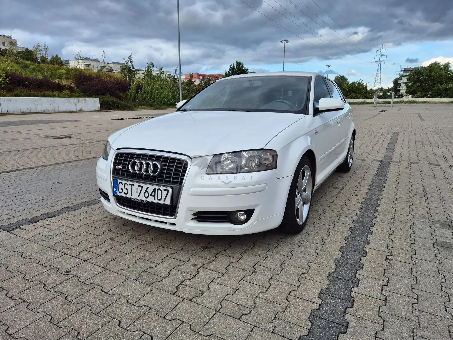 Audi A3 8P (2003-2012) 2.0 TDI DPF Ambition 2007