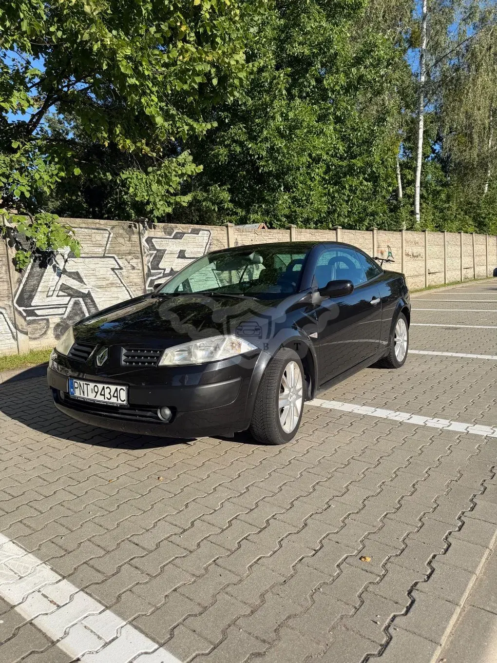 Renault Megane II (2002-2008) 2.0 Turbo Dynamique 2005