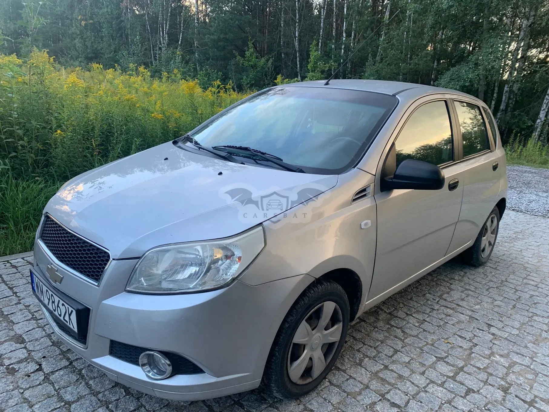 Chevrolet Aveo (Sonic) 1.2 16V Base 2010