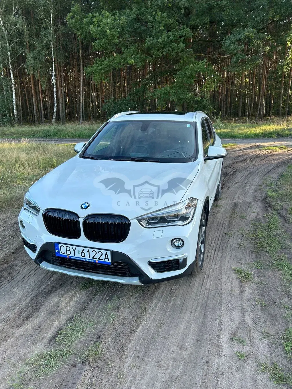 BMW X1 F48 (2015-2022) 2016