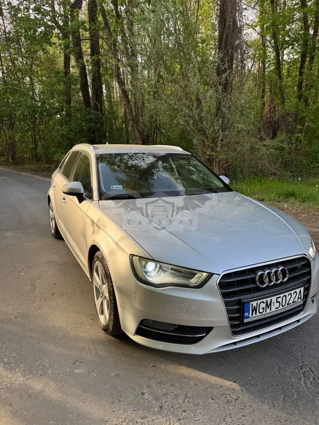 Audi A3 8V (2012-) 2.0 TDI clean diesel Ambition 2013