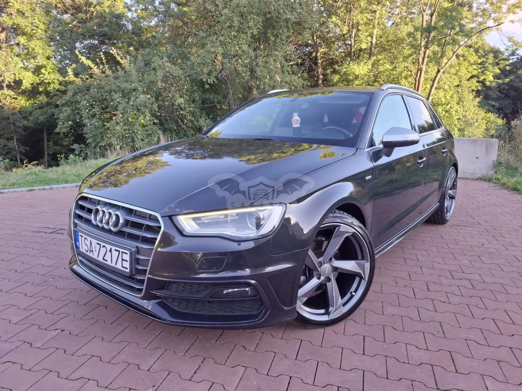 Audi A3 8V (2012-) 1.6 TDI 102g DPF 2014