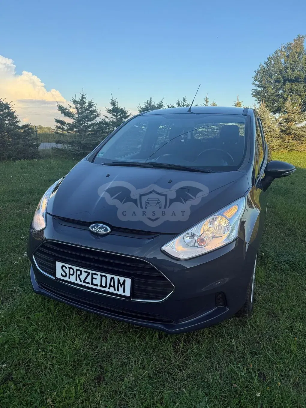 Ford B-Max 2013