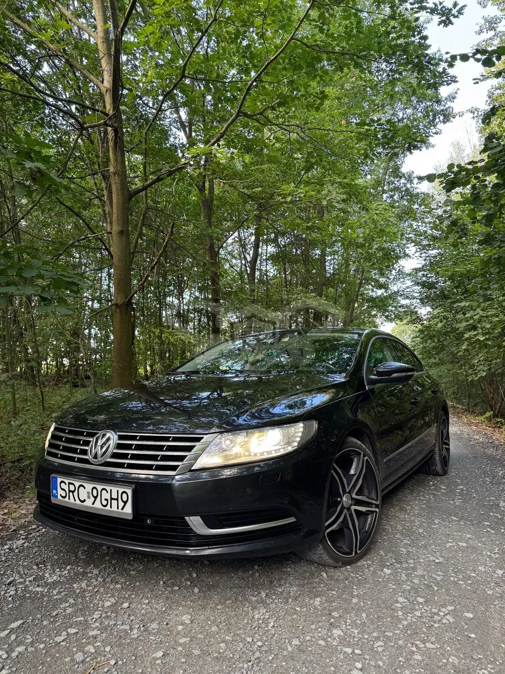 Volkswagen Passat CC 2.0 TDI DPF BMT 2013