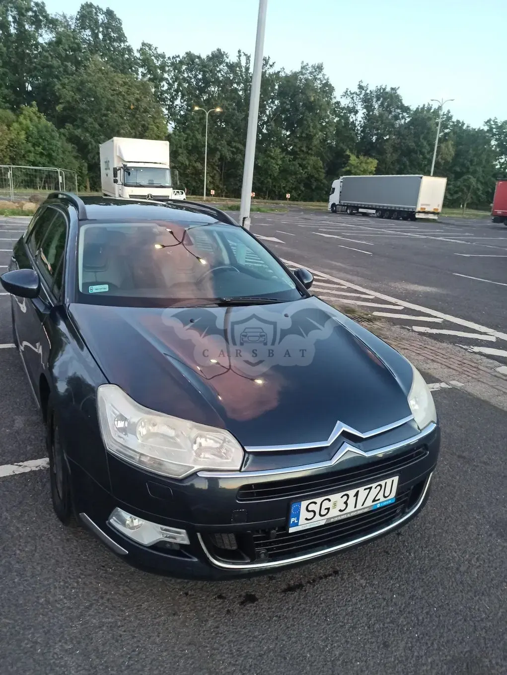 Citroën C5 III (2008-) 2.0 HDi Dynamique 2009