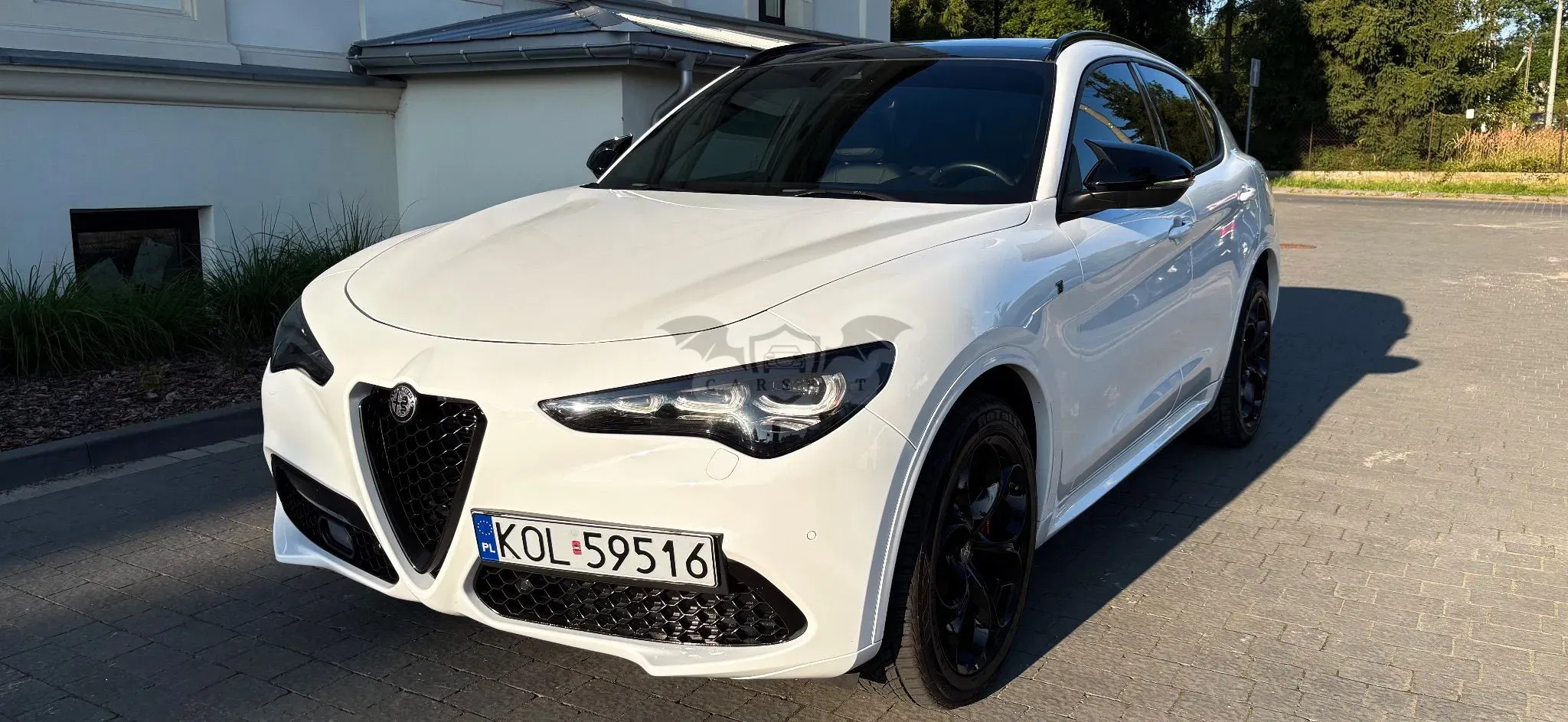 Alfa Romeo Stelvio 2.0 Turbo TI Q4 2021