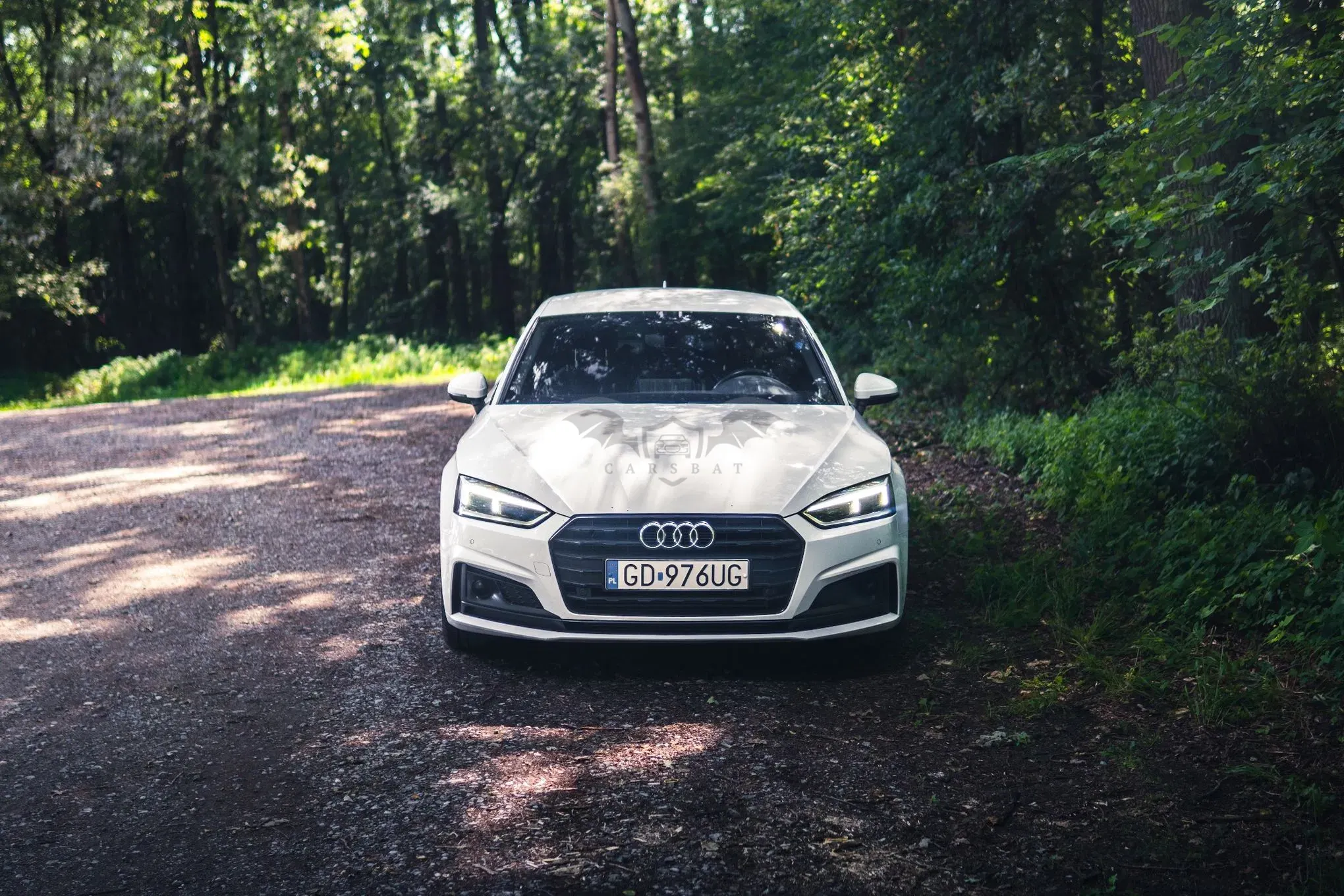 Audi A5 F5 (2016-2024) 40 TFSI mHEV S Line S tronic 2019
