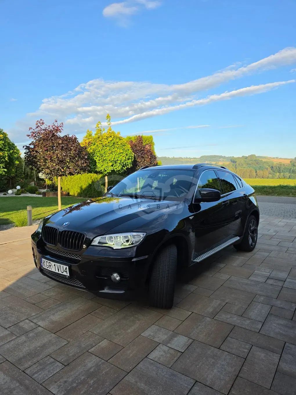 BMW X6 E71 (2008-2014) 2010