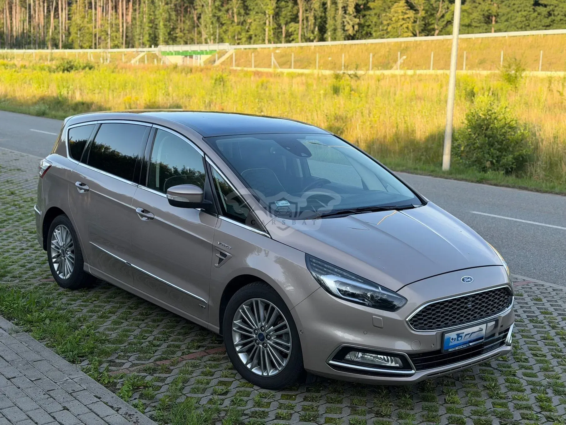 Ford S-Max II (2015-) 2.0 EcoBlue AWD Vignale 2019