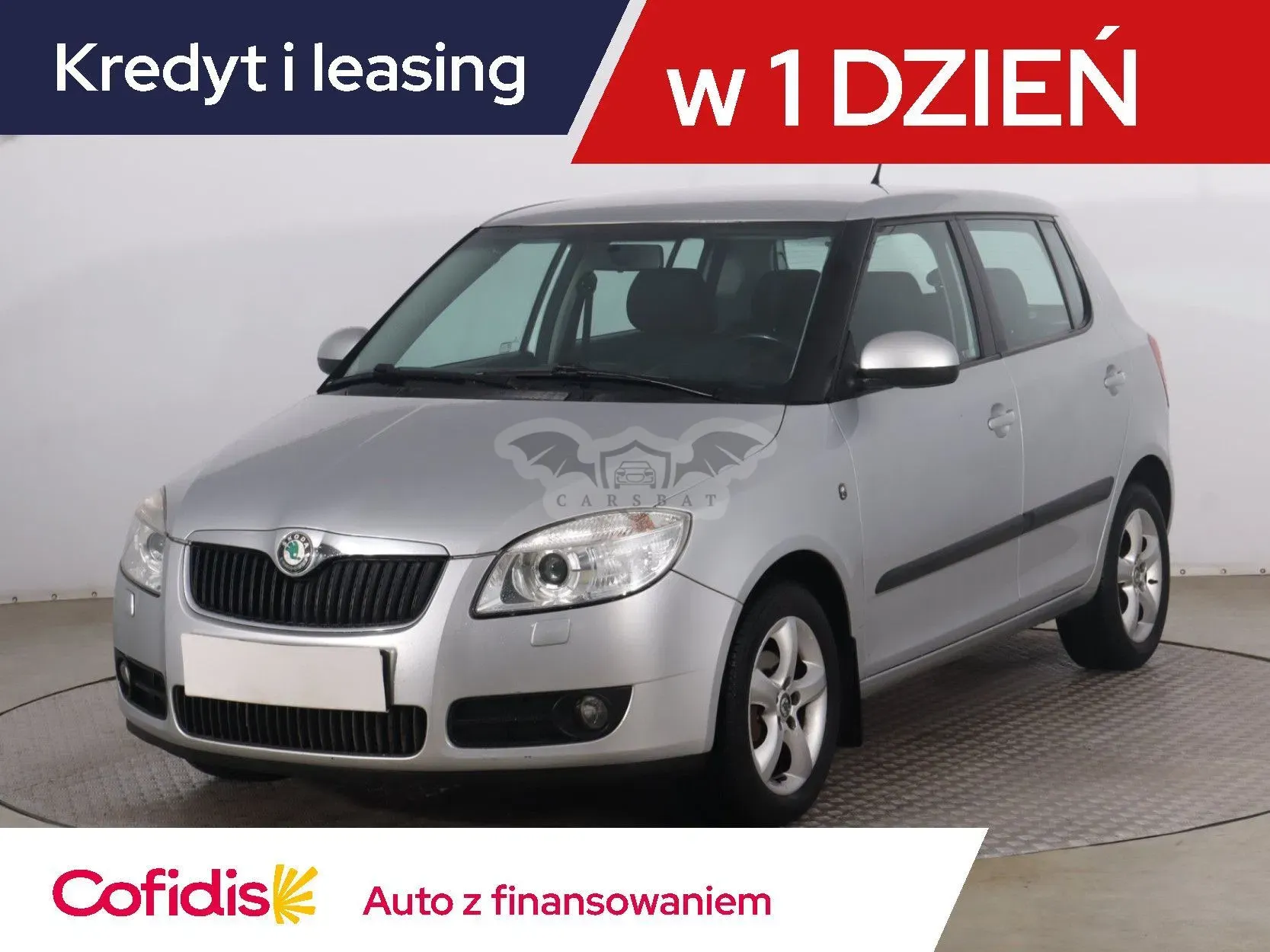 Skoda Fabia II (2007-2014) 2009