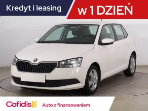 Skoda Fabia III (2014-2021) 2021
