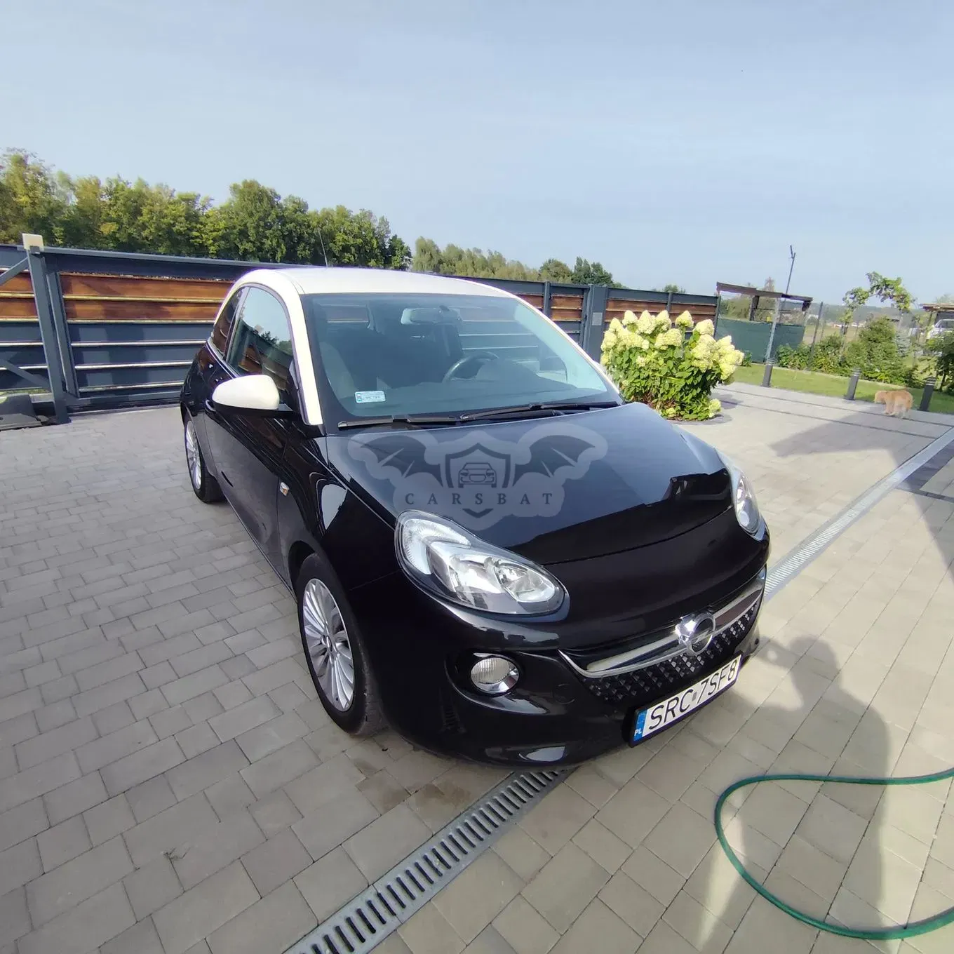 Opel Adam 2013