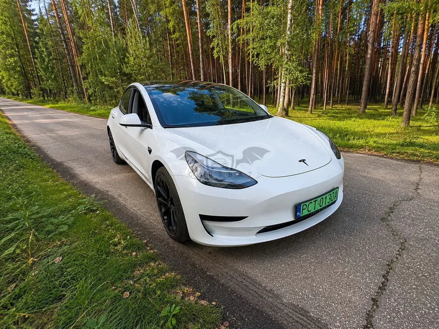 Tesla Model 3 RWD Hinterradantrieb 2023