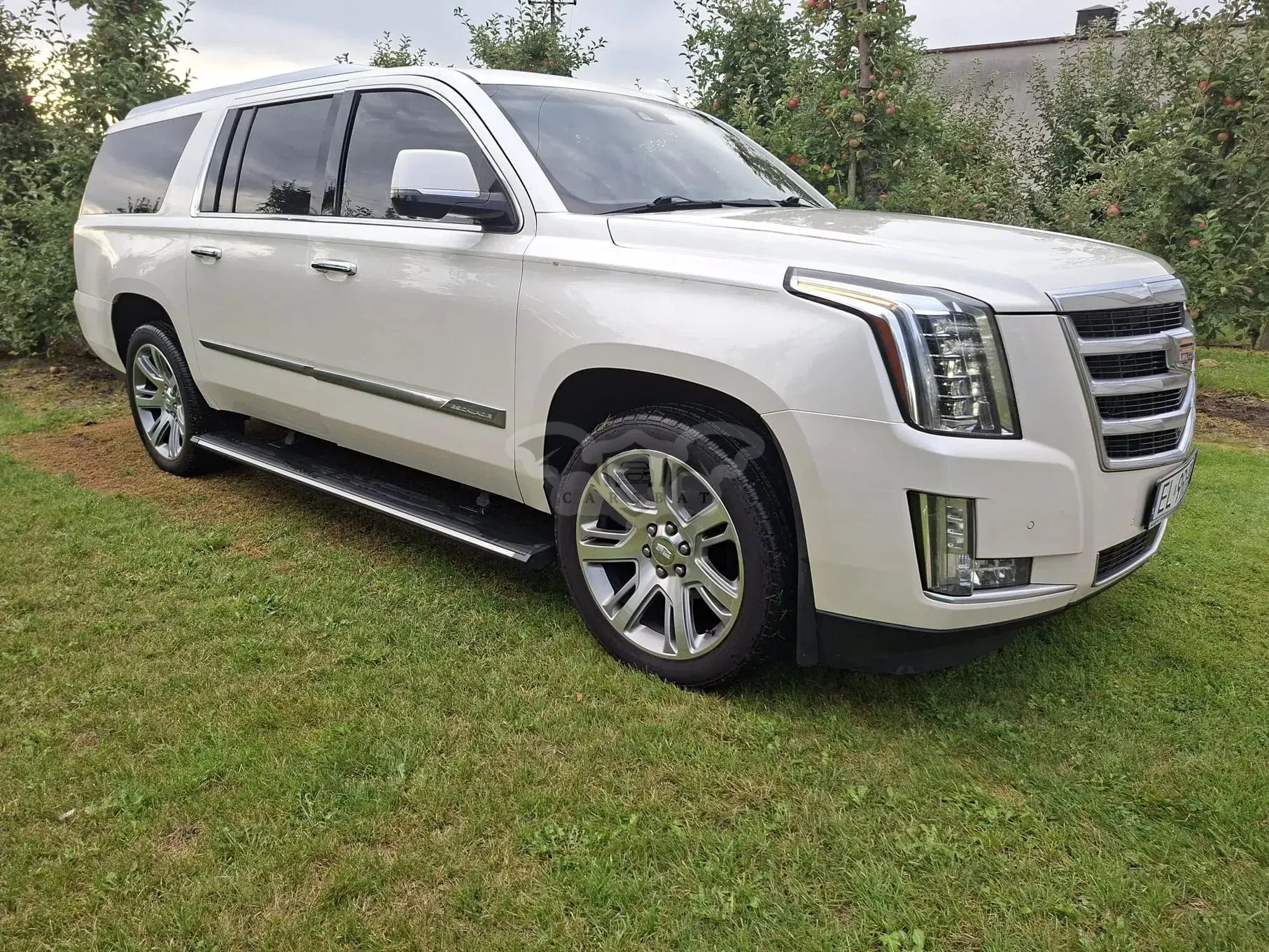 Cadillac Escalade 2015