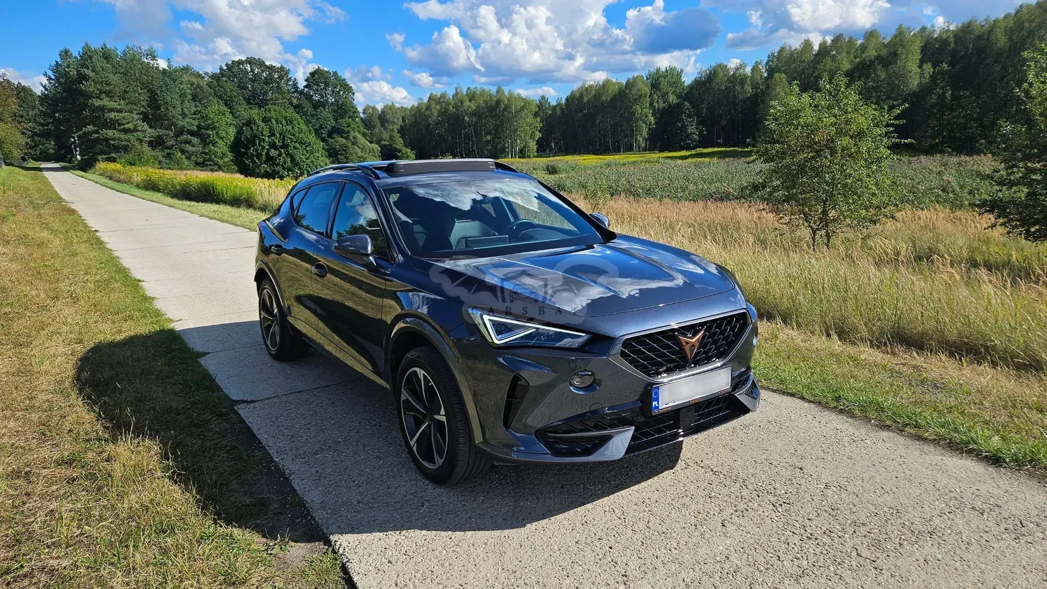 Cupra Formentor 2.0 TSI 4Drive DSG 2023