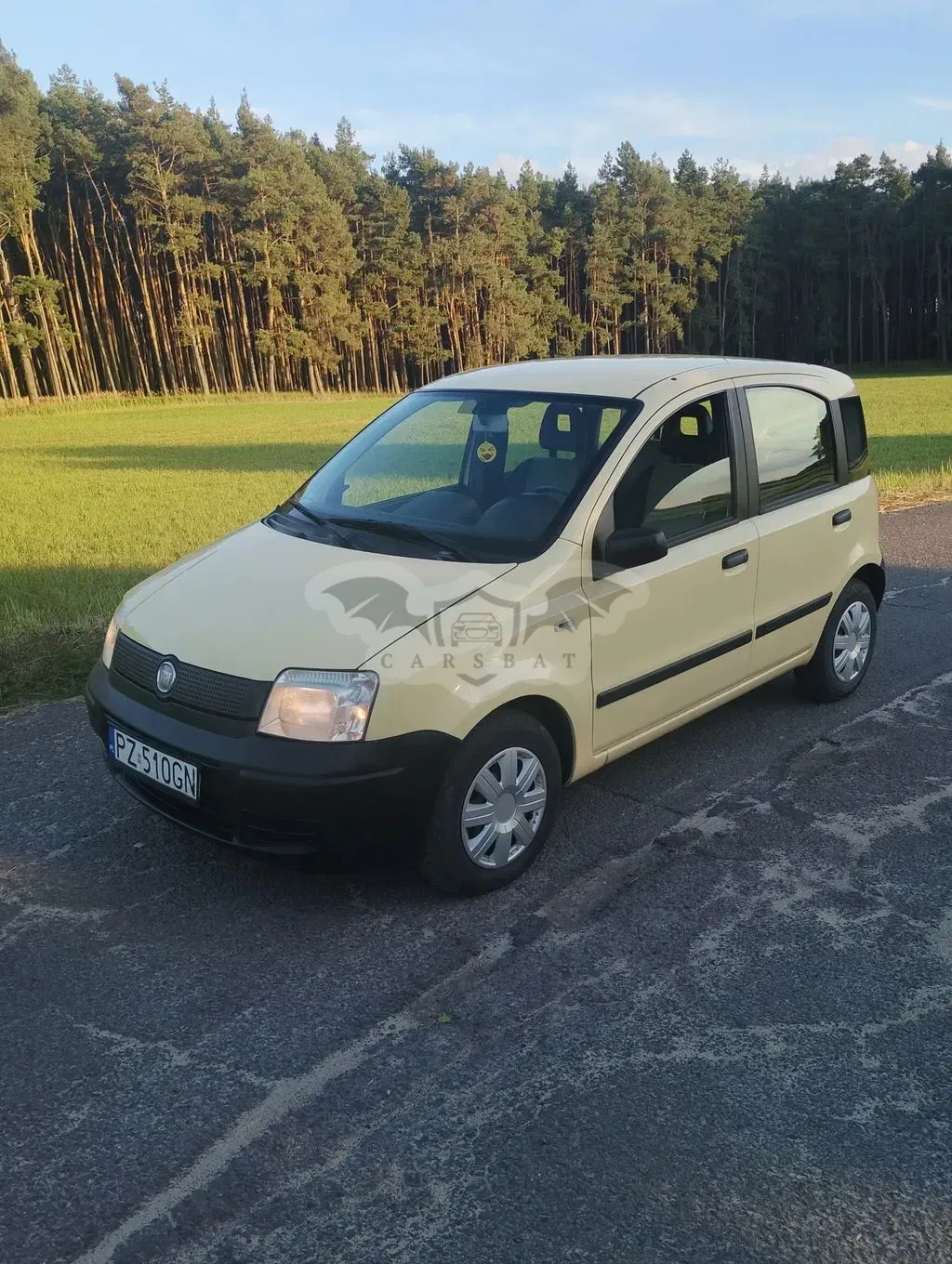 Fiat Panda II (2003-2012) 1.1 2009