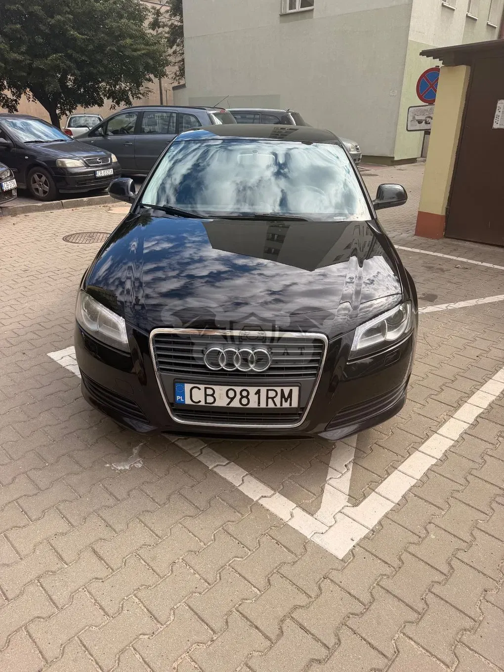 Audi A3 8P (2003-2012) 1.6 TDI DPF Ambition 2010