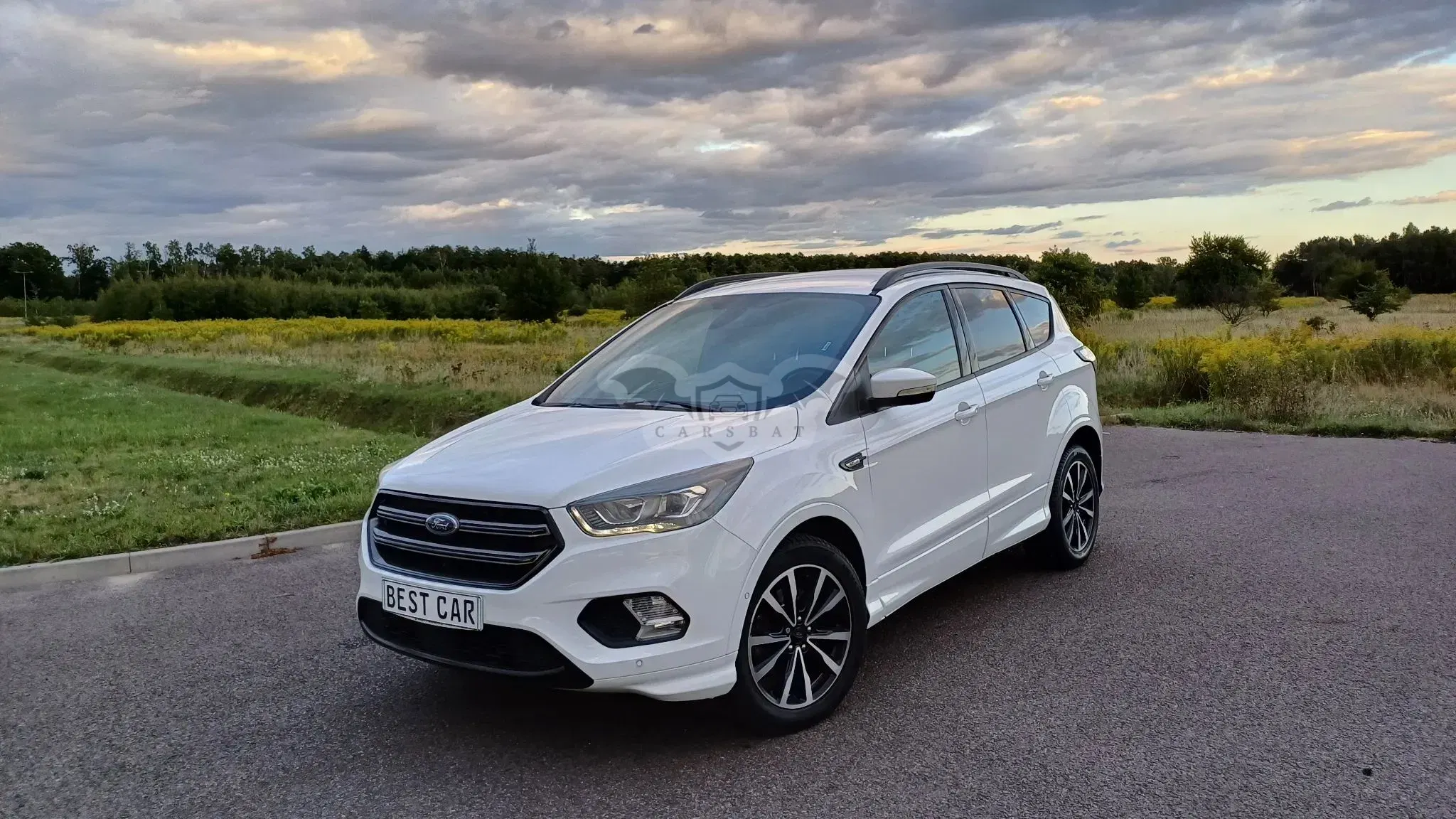 Ford Kuga II (2012-) 1.5 TDCi 2x4 ST-Line 2017