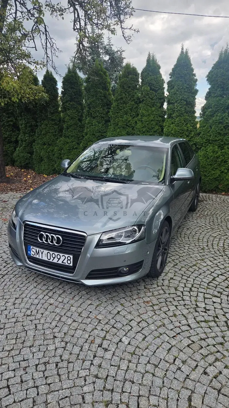 Audi A3 8P (2003-2012) 3.2 quattro (DSG) S tronic Ambition 2009