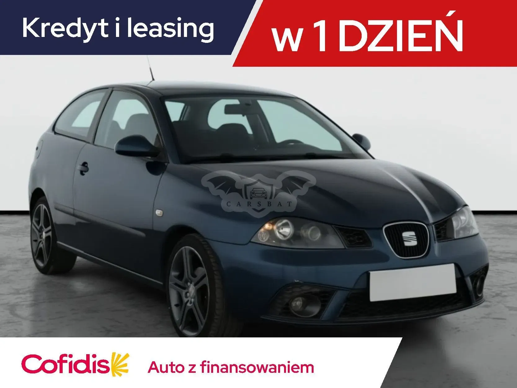 Seat Ibiza III (2002-2008) 2008