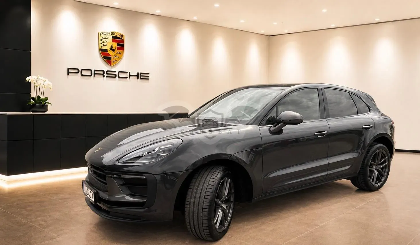 Porsche Macan II (2024-) T 2024