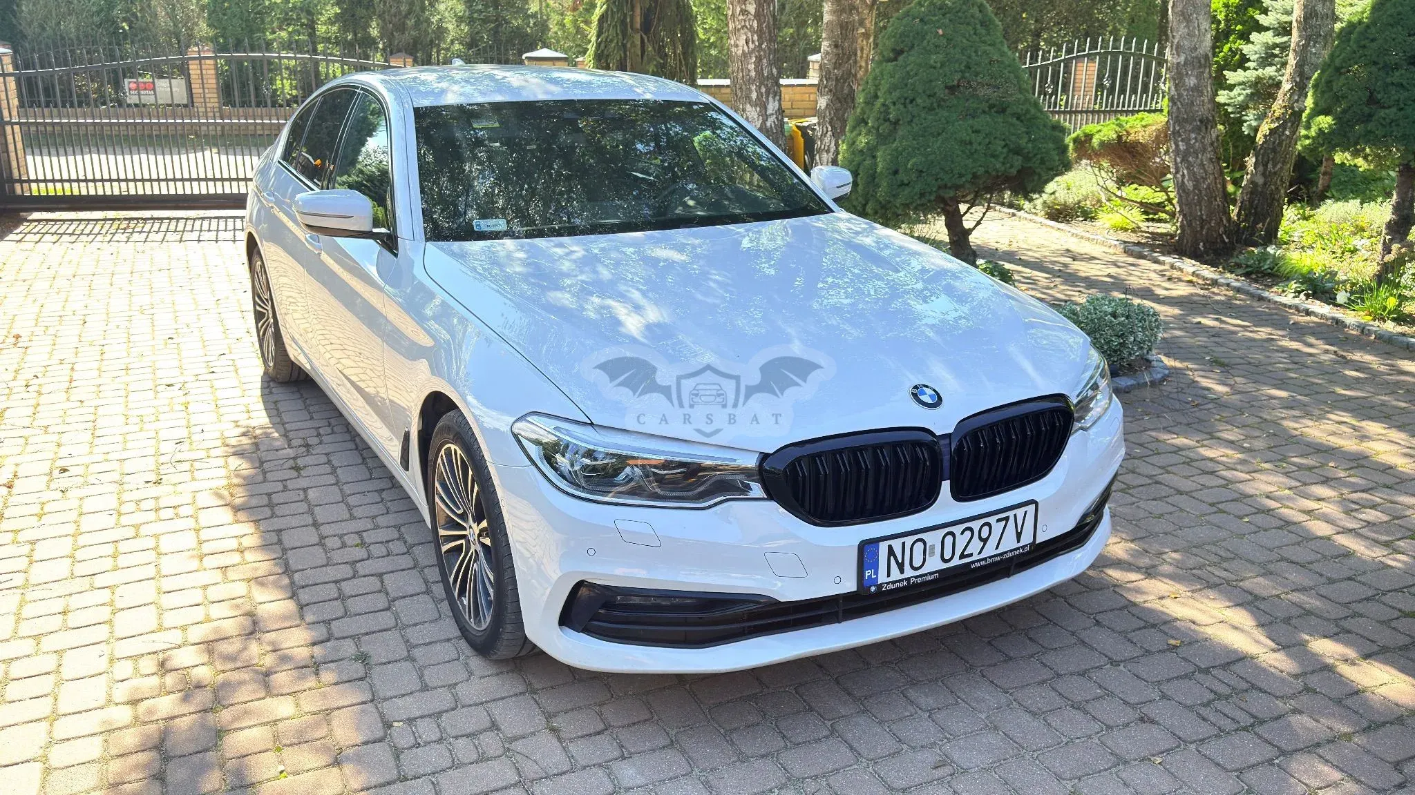 BMW 5 Series G30/G31 (2017-2023) 530i Sport Line sport 2019