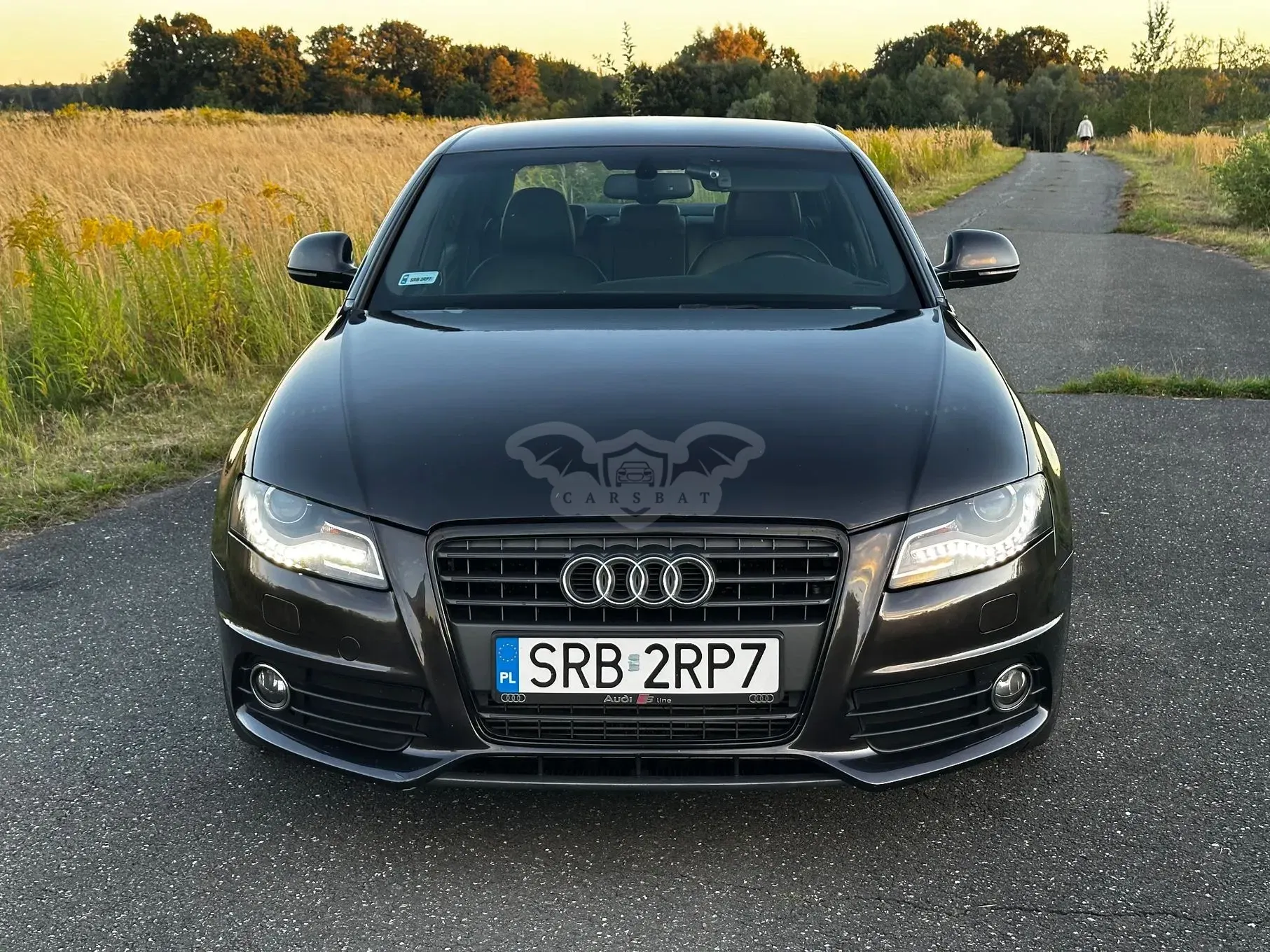 Audi A4 B8 (2007-2015) 2.0 TDI DPF 2008