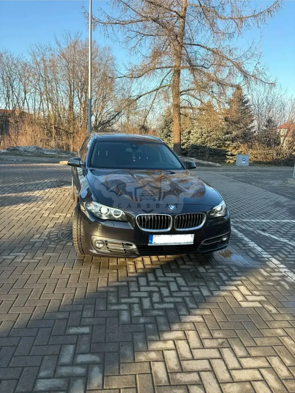 BMW 5 Series F10/F11 (2009-2017) 520d Luxury Line 2015