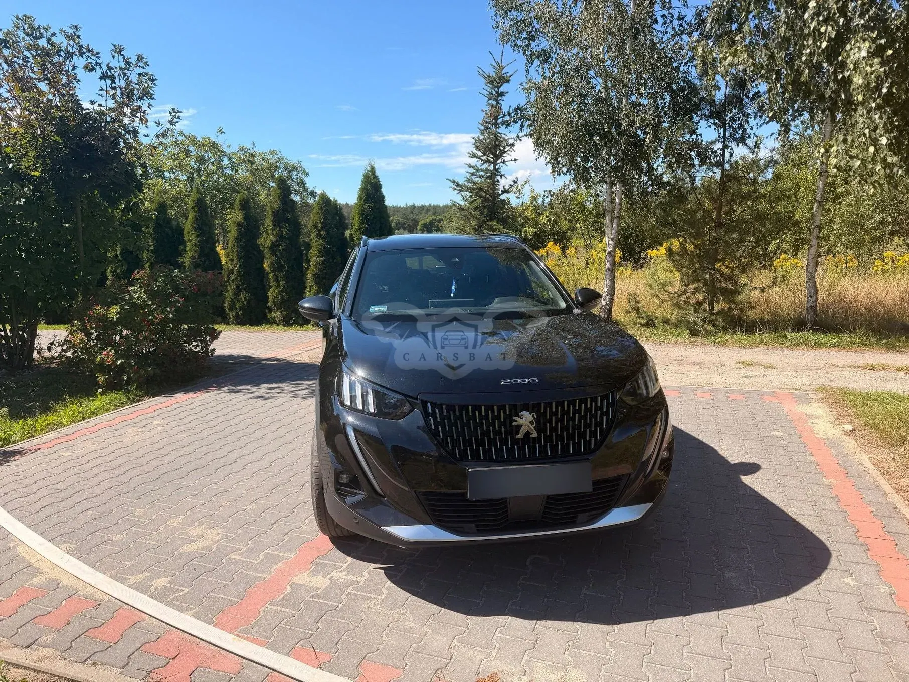 Peugeot 2008 II (2019-) 2022