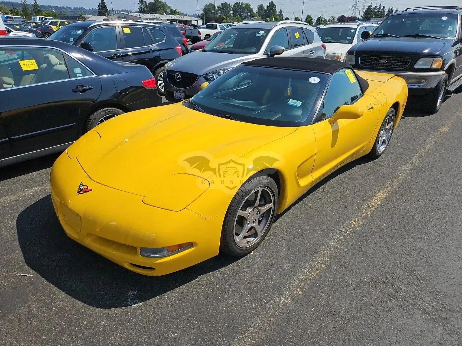 Chevrolet Corvette C5 (1996-2004) Convertible 5.7 2002