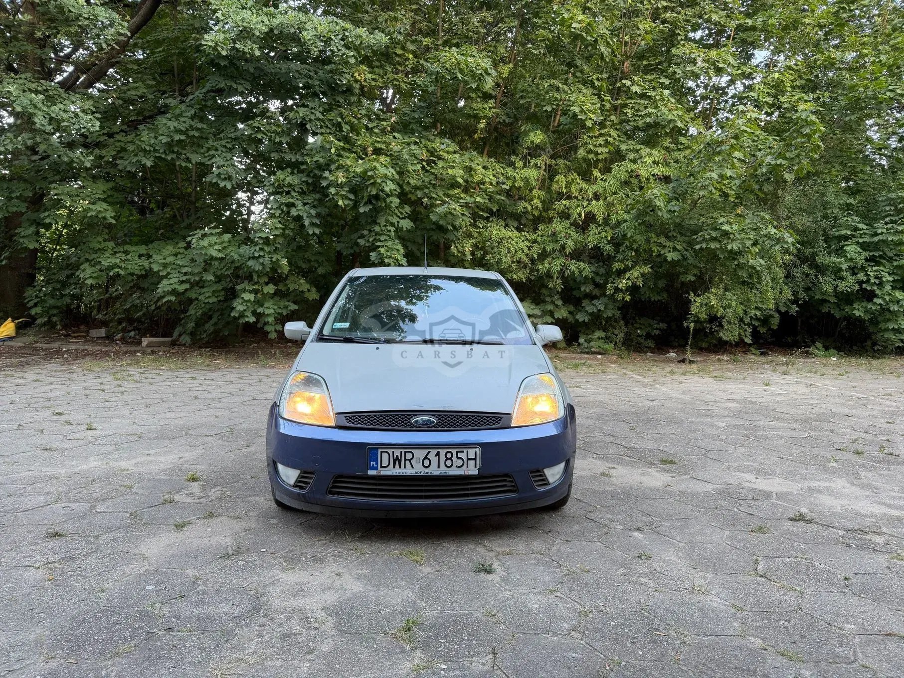 Ford Fiesta Mk6 (2002-2008) 1.4 TDCI 2004