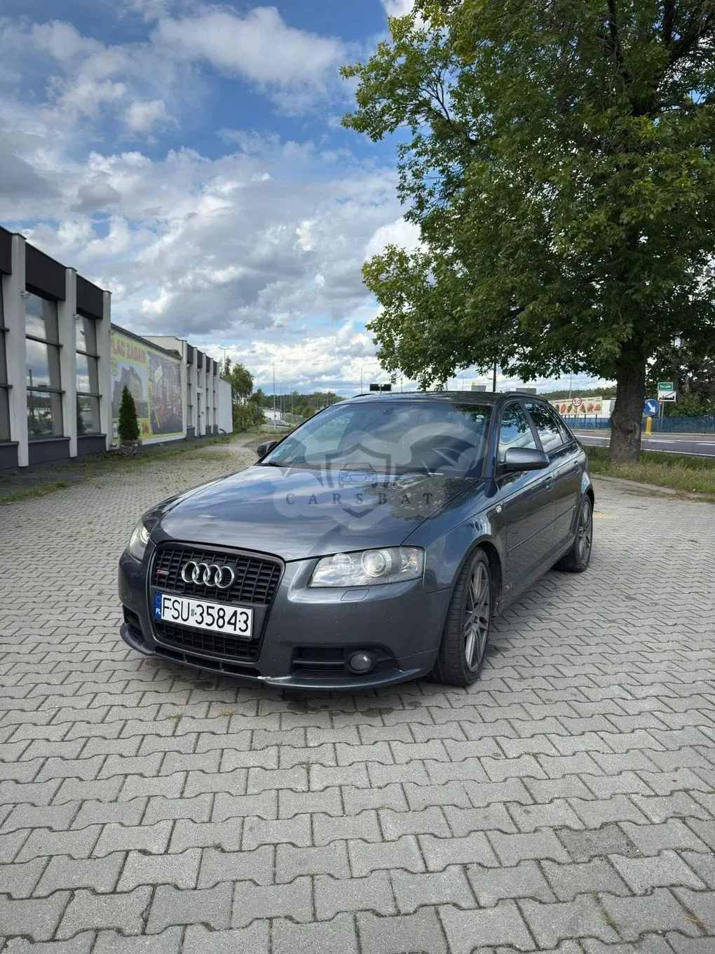 Audi A3 8P (2003-2012) 2.0 TDI DPF Ambiente 2007
