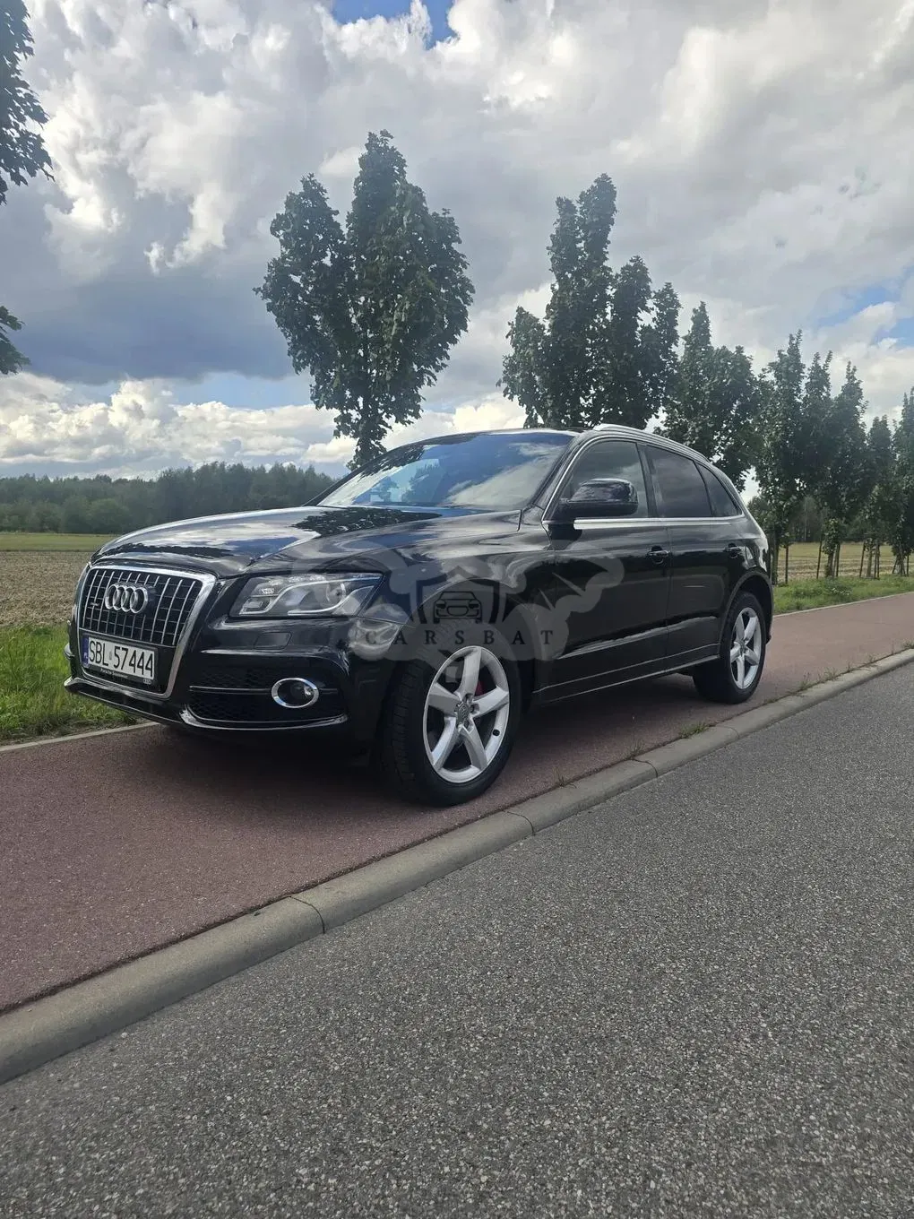 Audi Q5 8R (2008-2016) 2010