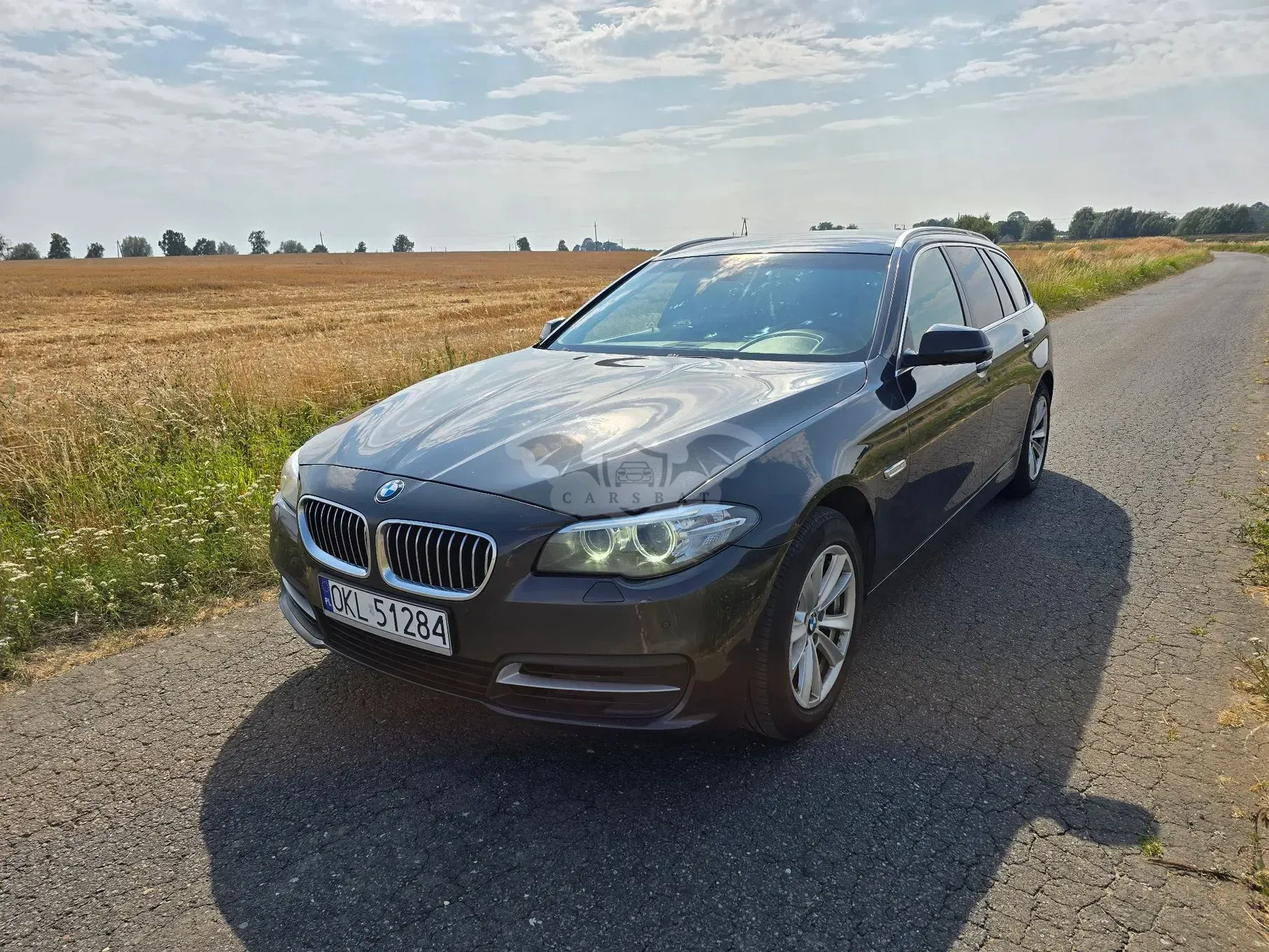 BMW 5 Series F10/F11 (2009-2017) 520d 2014