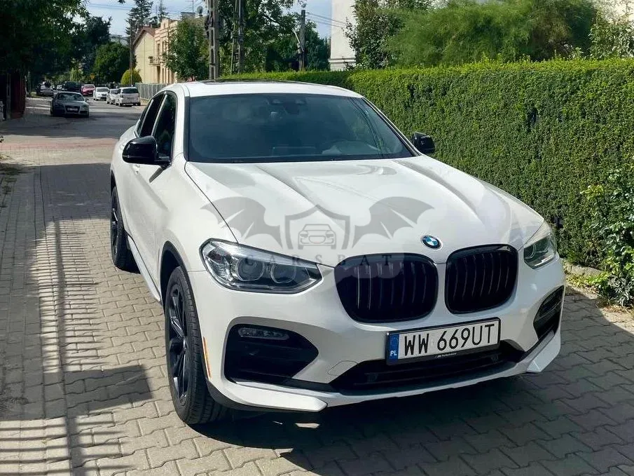 BMW X4 G02 (2018-) xDrive30i GPF xLine sport 2019