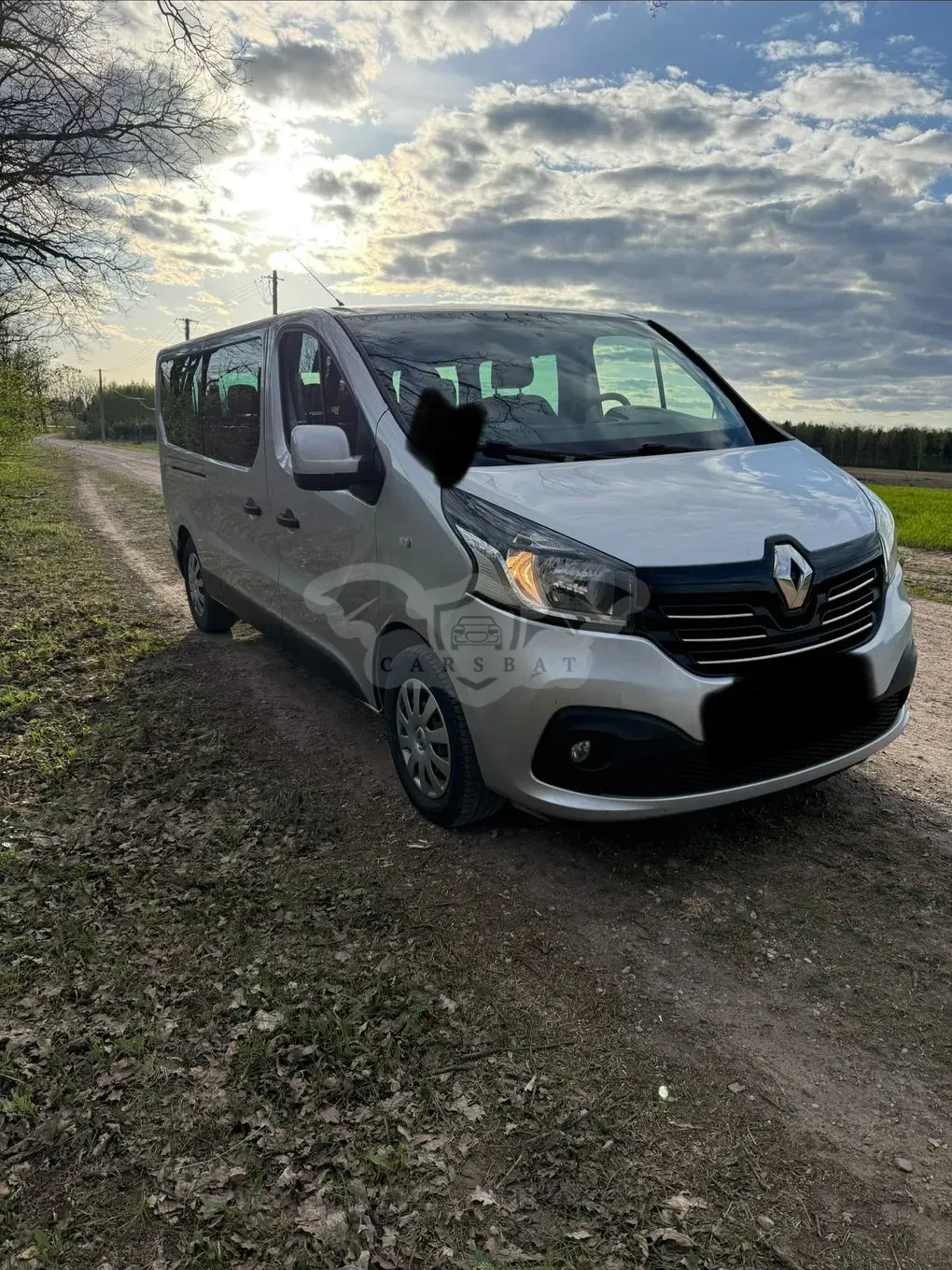 Renault Trafic III (2014-) 2017