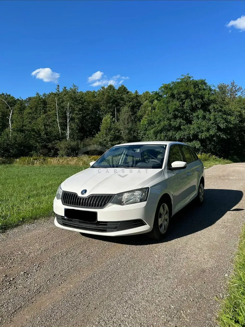 Skoda Fabia III (2014-2021) 1.4 TDI Active 2017
