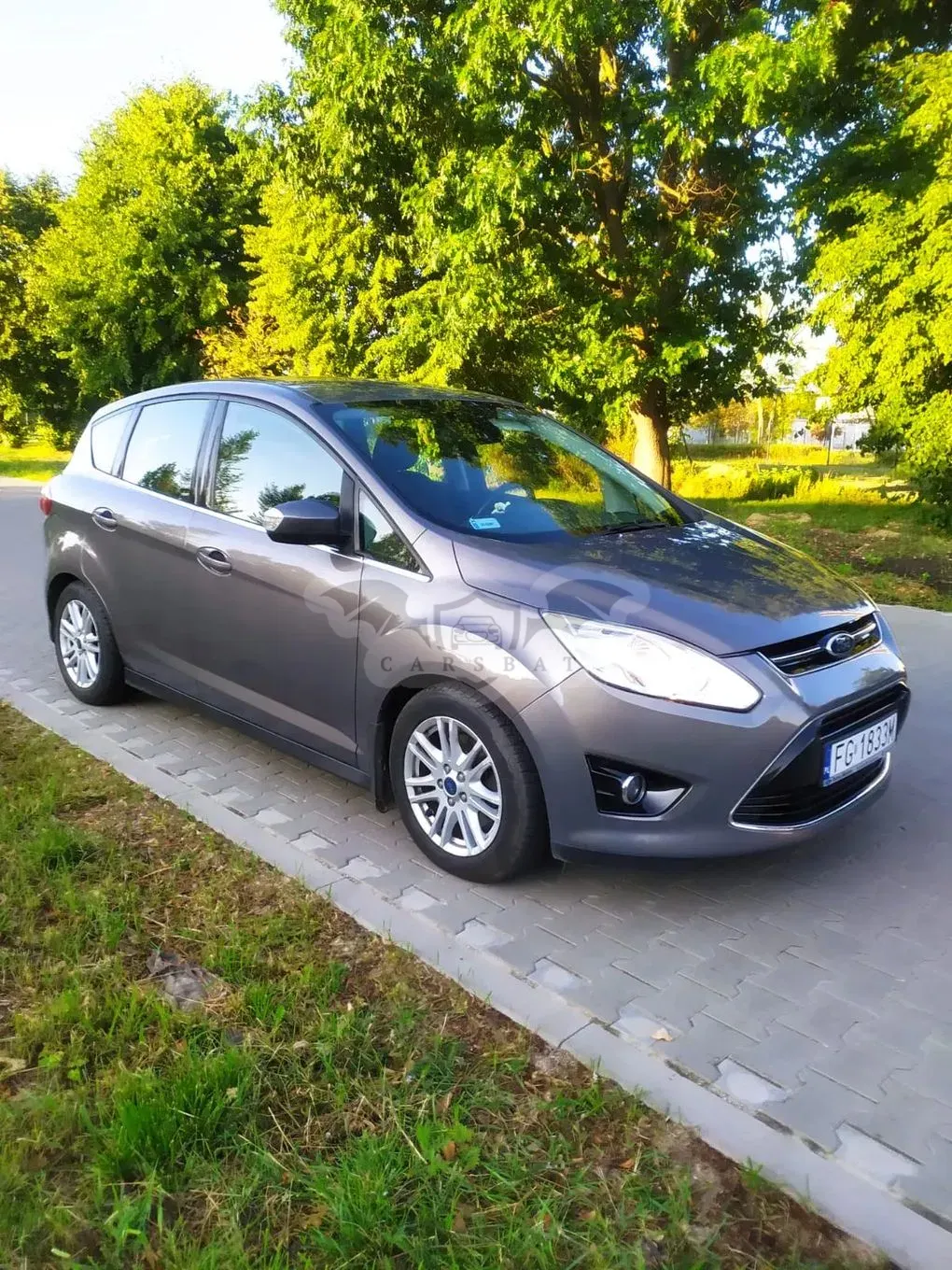 Ford C-Max II (2010-) 2013