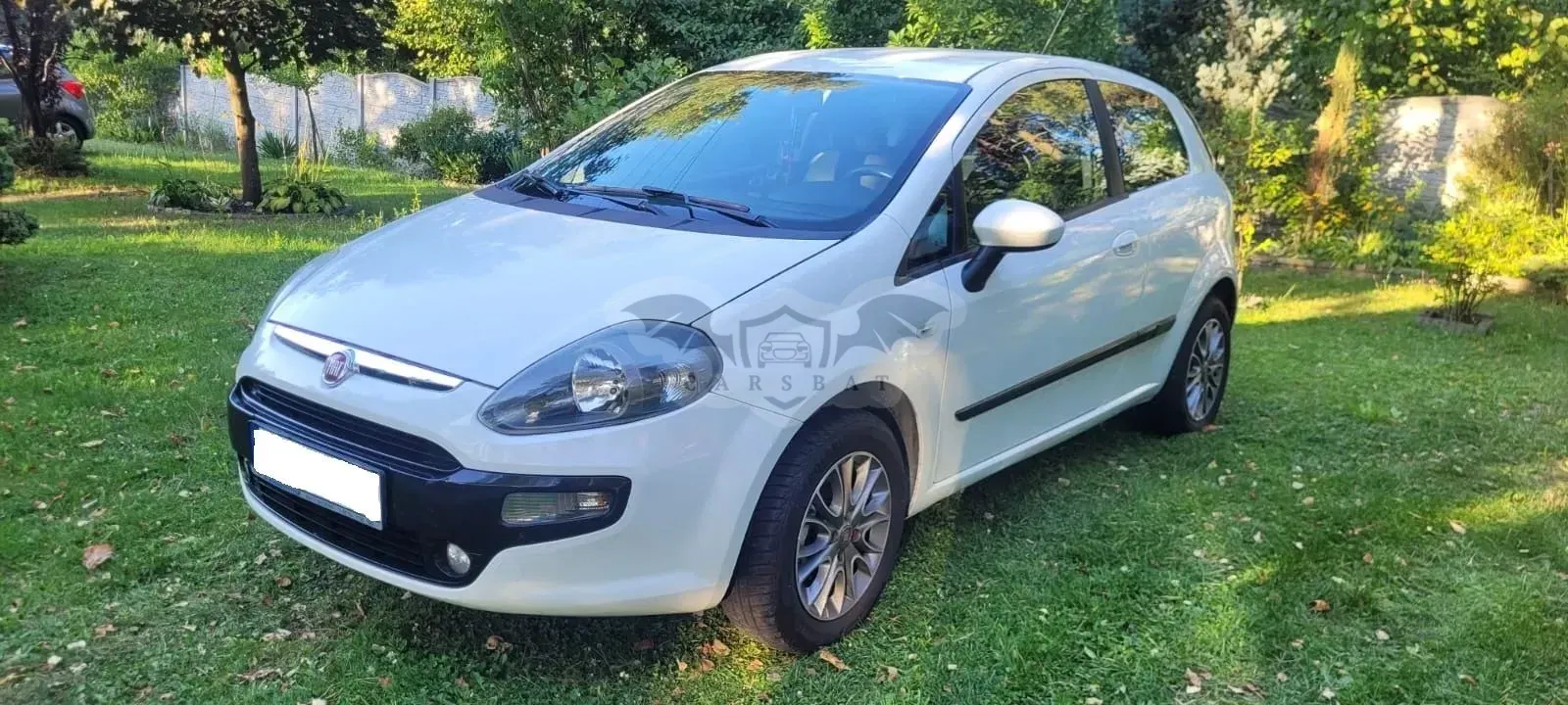 Fiat Punto 2011