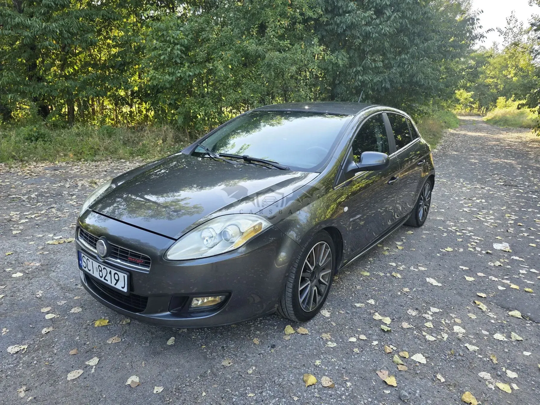 Fiat Bravo II (2007-) 1.9 Multijet 16V Sport 2008