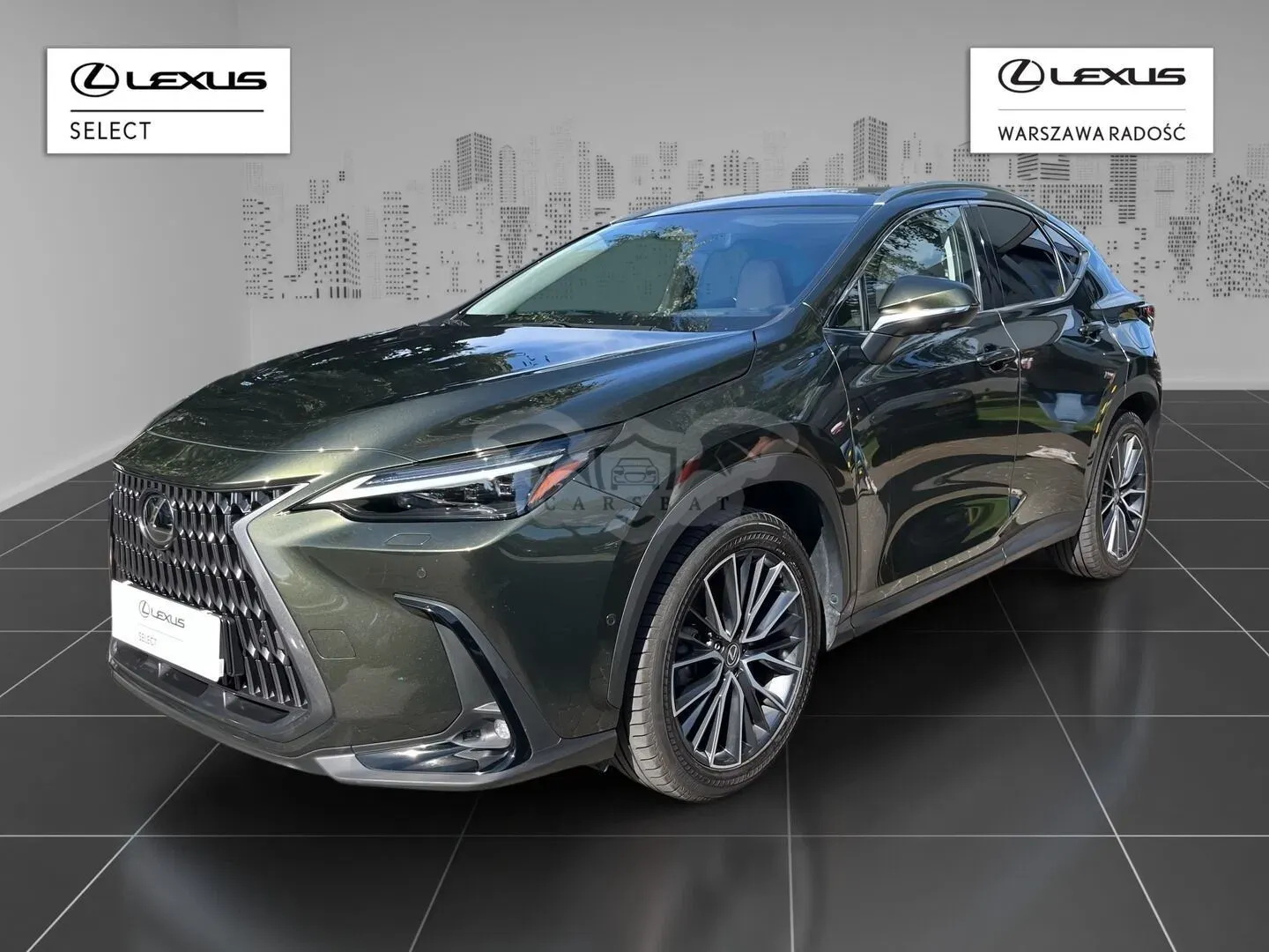 Lexus NX II (2021-) 2024
