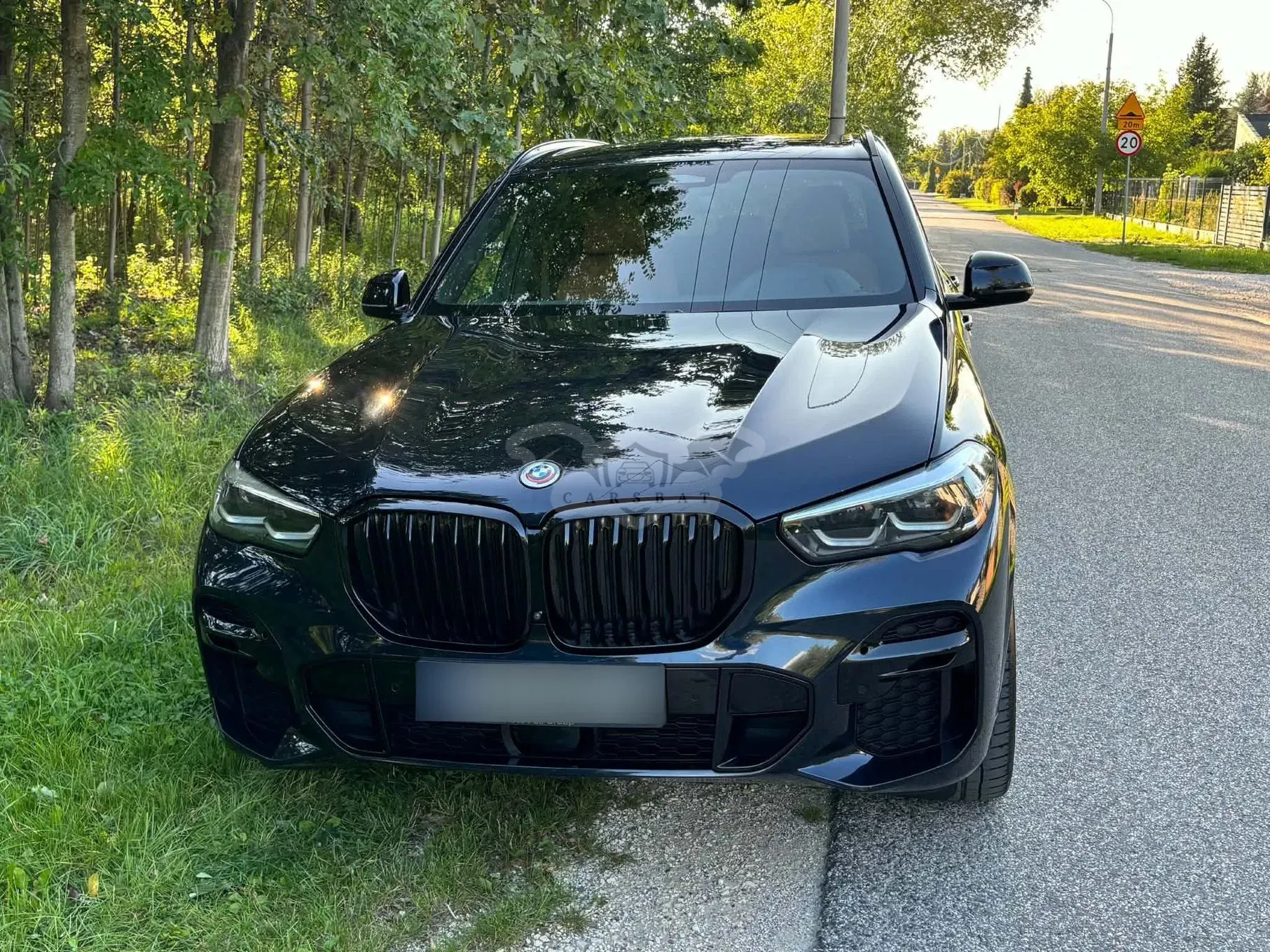 BMW X5 G05 (2018-) xDrive30d mHEV 2023