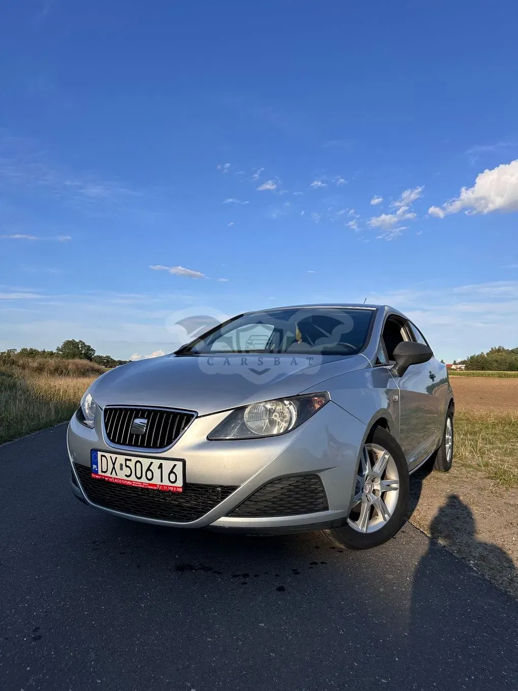 Seat Ibiza IV (2008-2017) SC 1.2 TDI Reference 2010