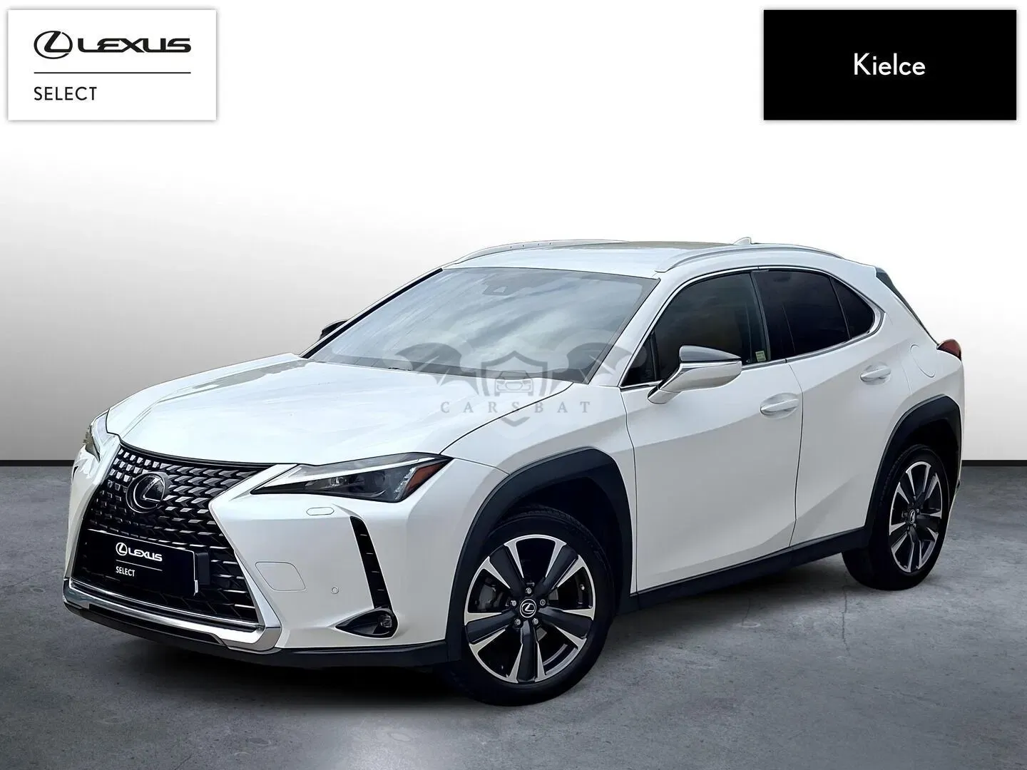 Lexus UX 250h GPF Business 2WD 2023