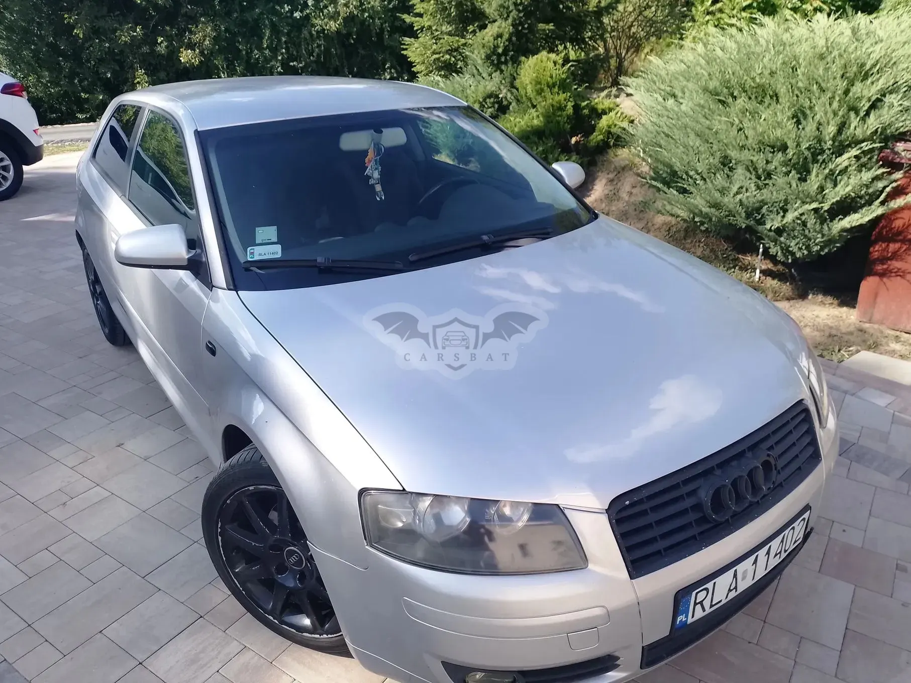 Audi A3 8P (2003-2012) 2.0 TDI Ambition 2003
