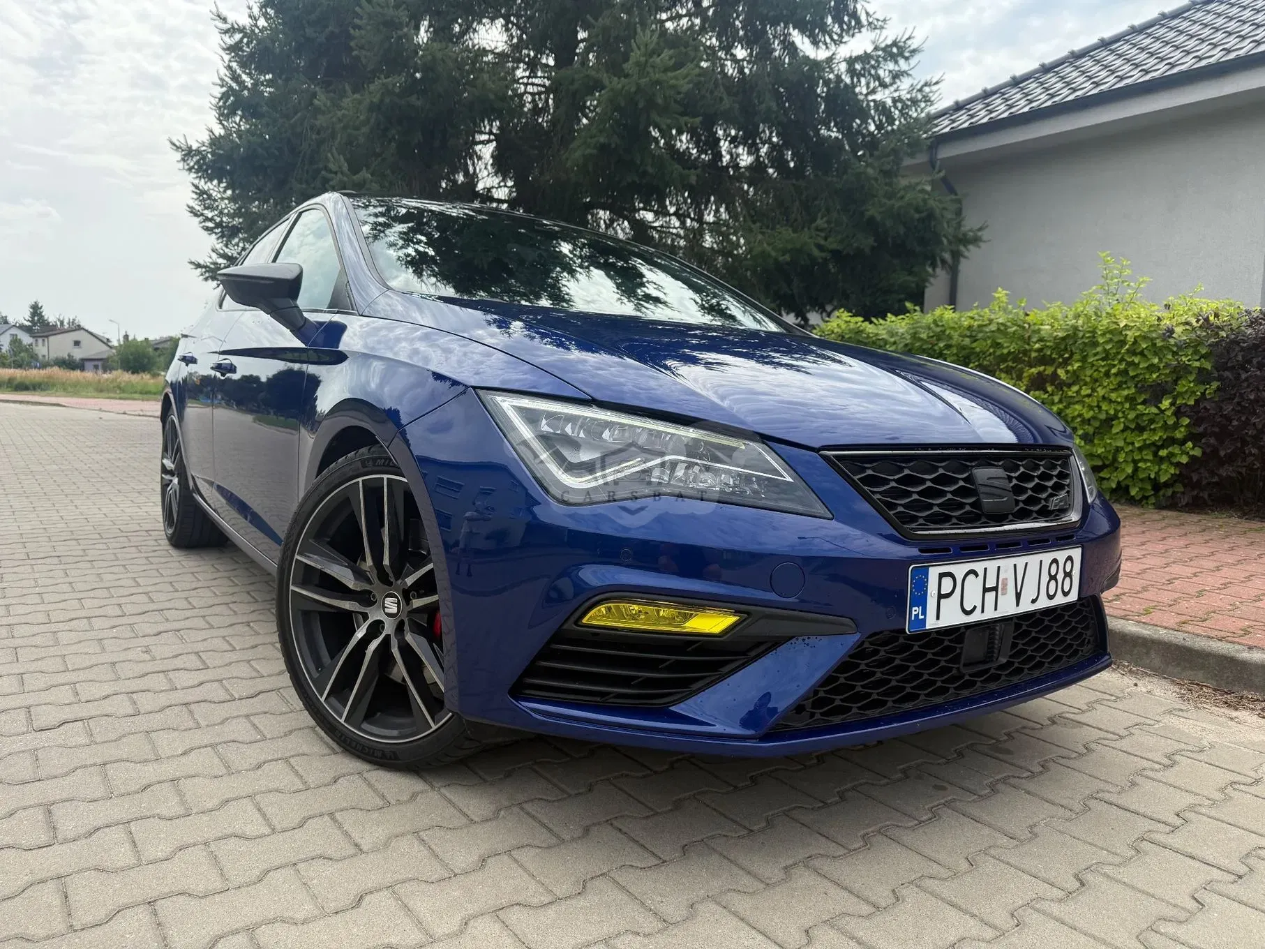 Seat Leon III (2012-) 2.0 TSI Start&Stop DSG Cupra 300 2017