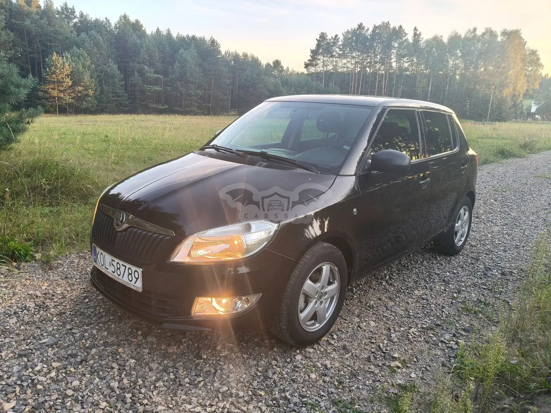 Skoda Fabia II (2007-2014) 1.4 16V Sport 2013