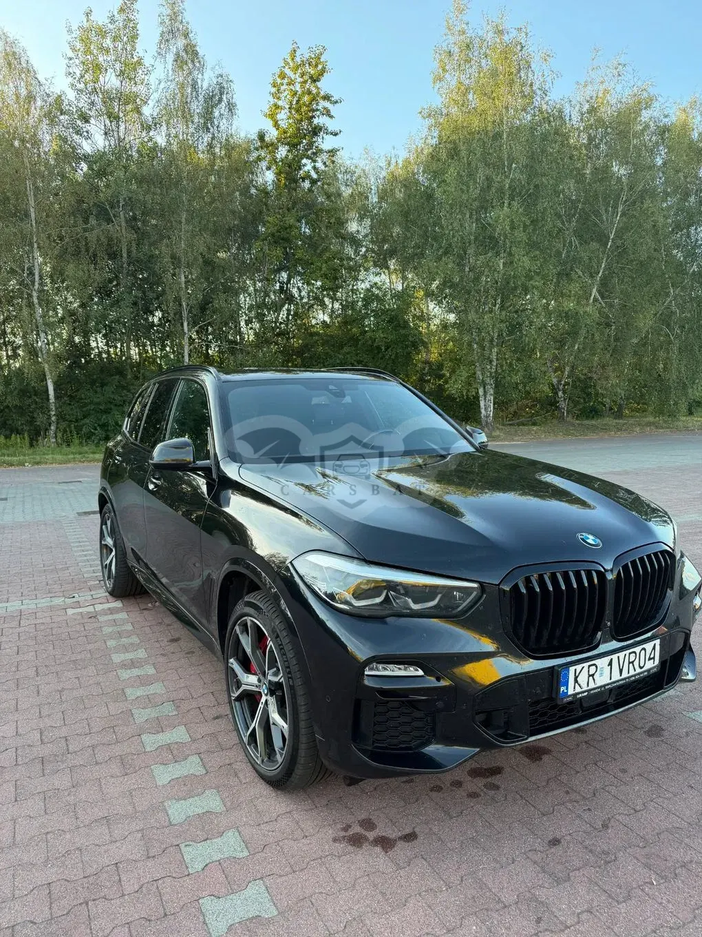 BMW X5 G05 (2018-) xDrive30d mHEV sport 2021